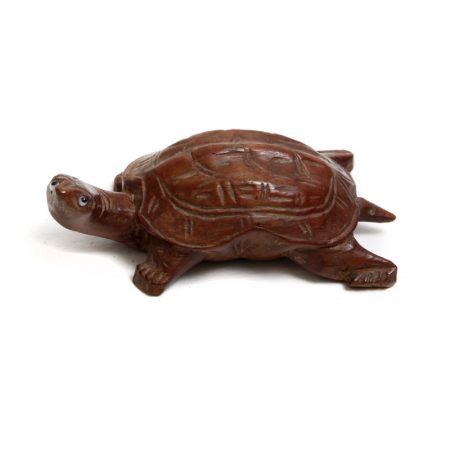 chinese wooden soft shell turtle