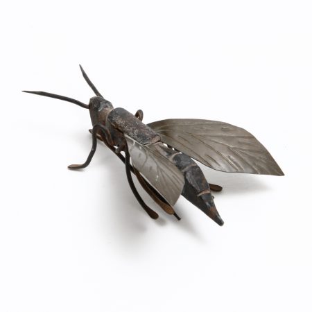 Japanese Iron Insect