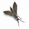 Okimono Bug