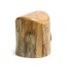 rear of a tree stump trinket box