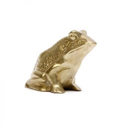 patterned brass toad