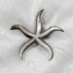 starfish brooch made from shell