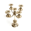 brass regency style candelabra