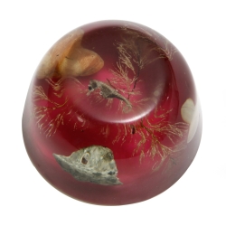shelart paperweight with seahorse