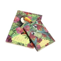colourful bird notebooks