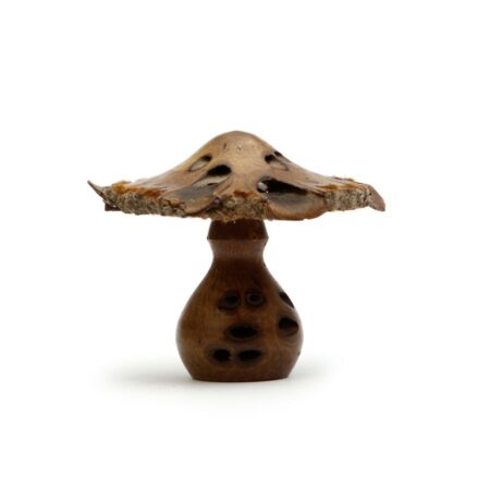 banksia pod mushroom