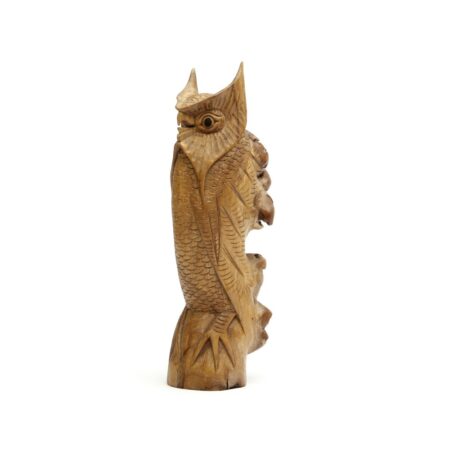 parasite wood owl 2