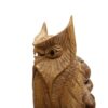 parasite wood owl 6