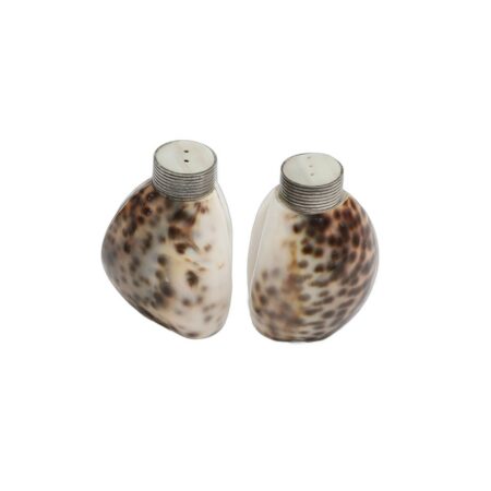 Tiger Cowrie Salt and Pepper Shakers