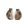 Tiger Cowrie Salt and Pepper Shakers from the side