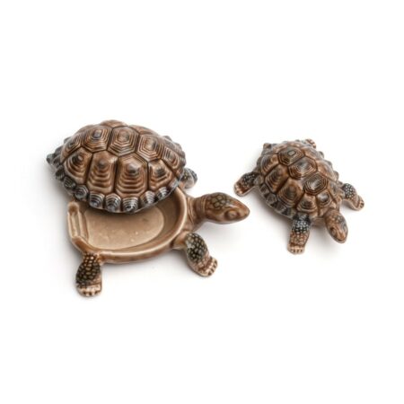 Wade Tortoise Trinket Holder