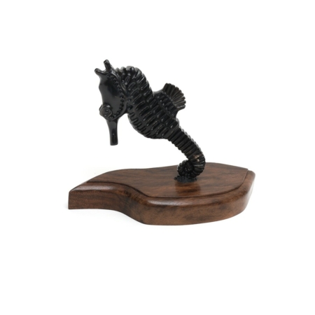 cozumel seahorse