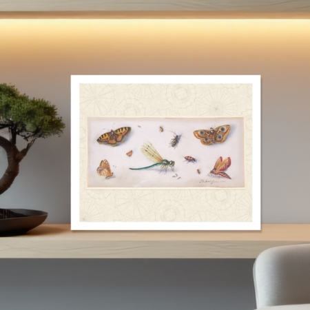 antique naturalist art