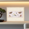 1663 butterfly study