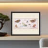 flemish insect illustration