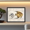 marcus bloch ichthyology