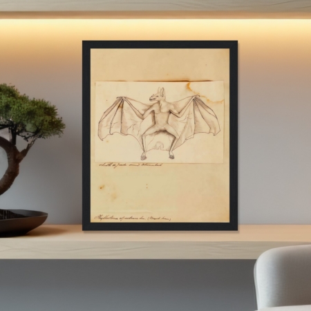 spectral bat vintage sketch
