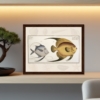 vintage scientific fish illustration 2