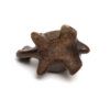 underside of little tortoise figurine